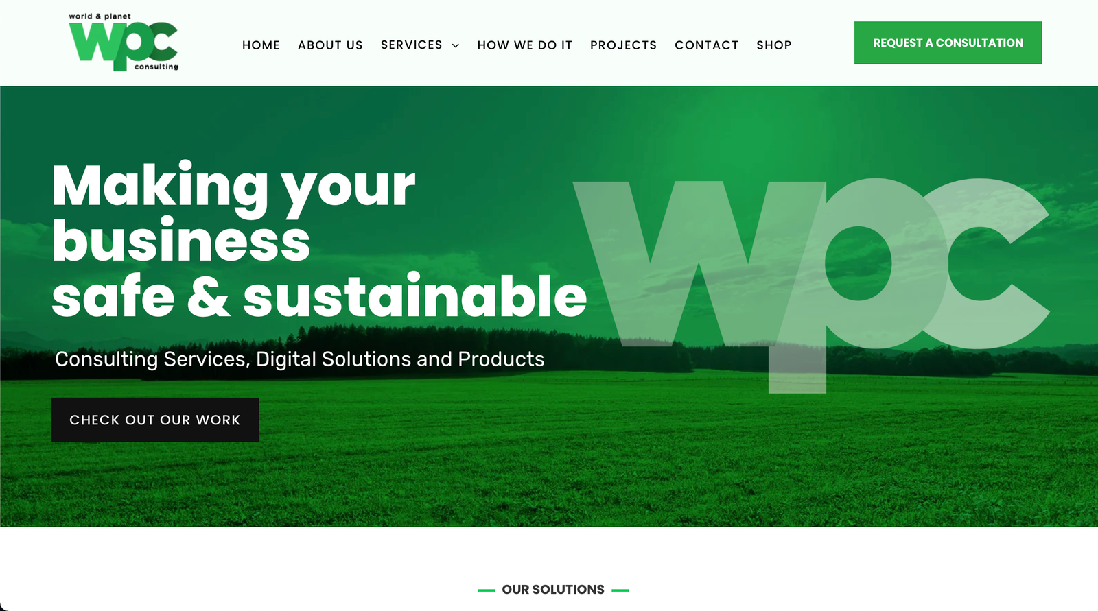 Sitio web de WP Consulting desarrollado por Nuvex